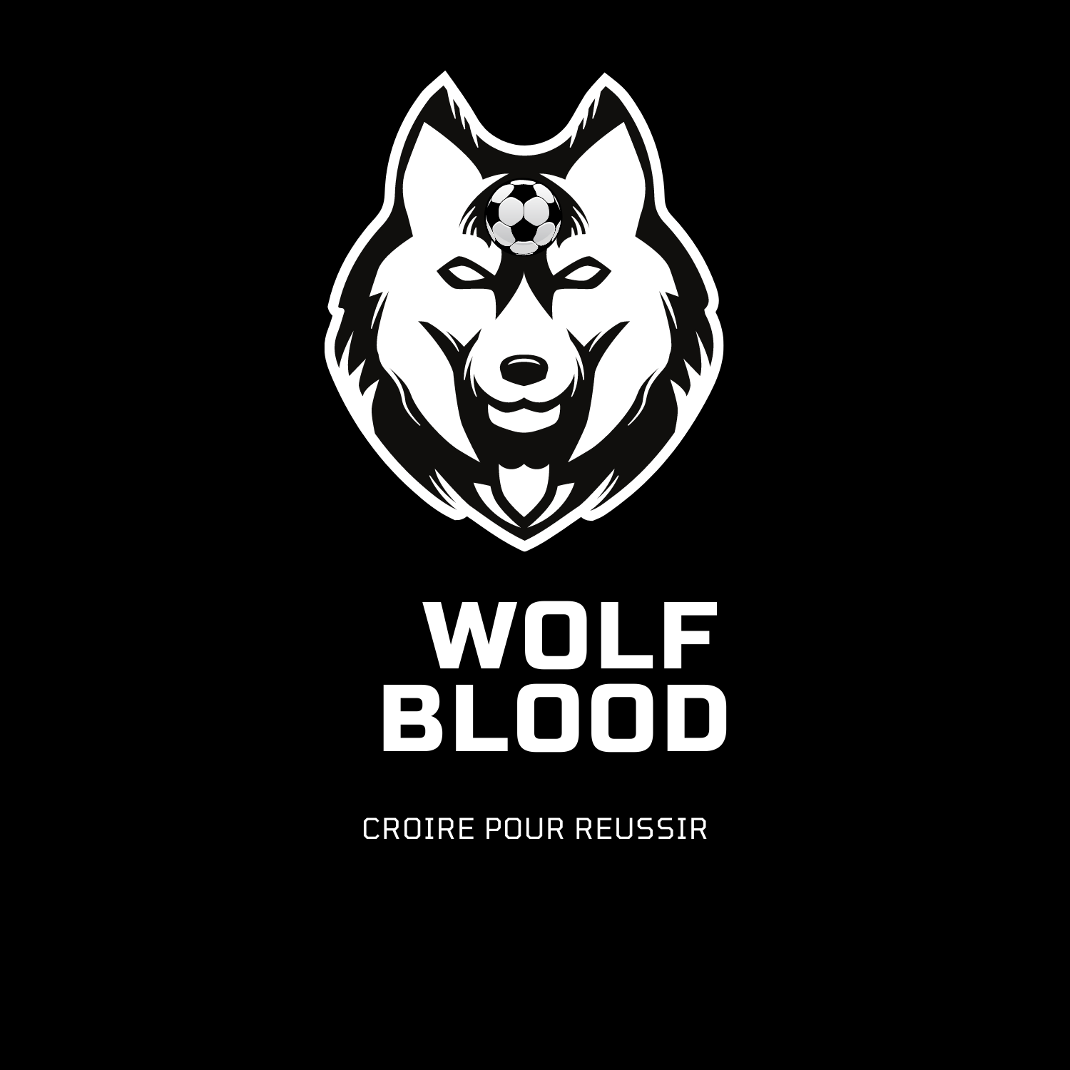 Wolfblood : la création d’une marque de sport par les 2nde 6
