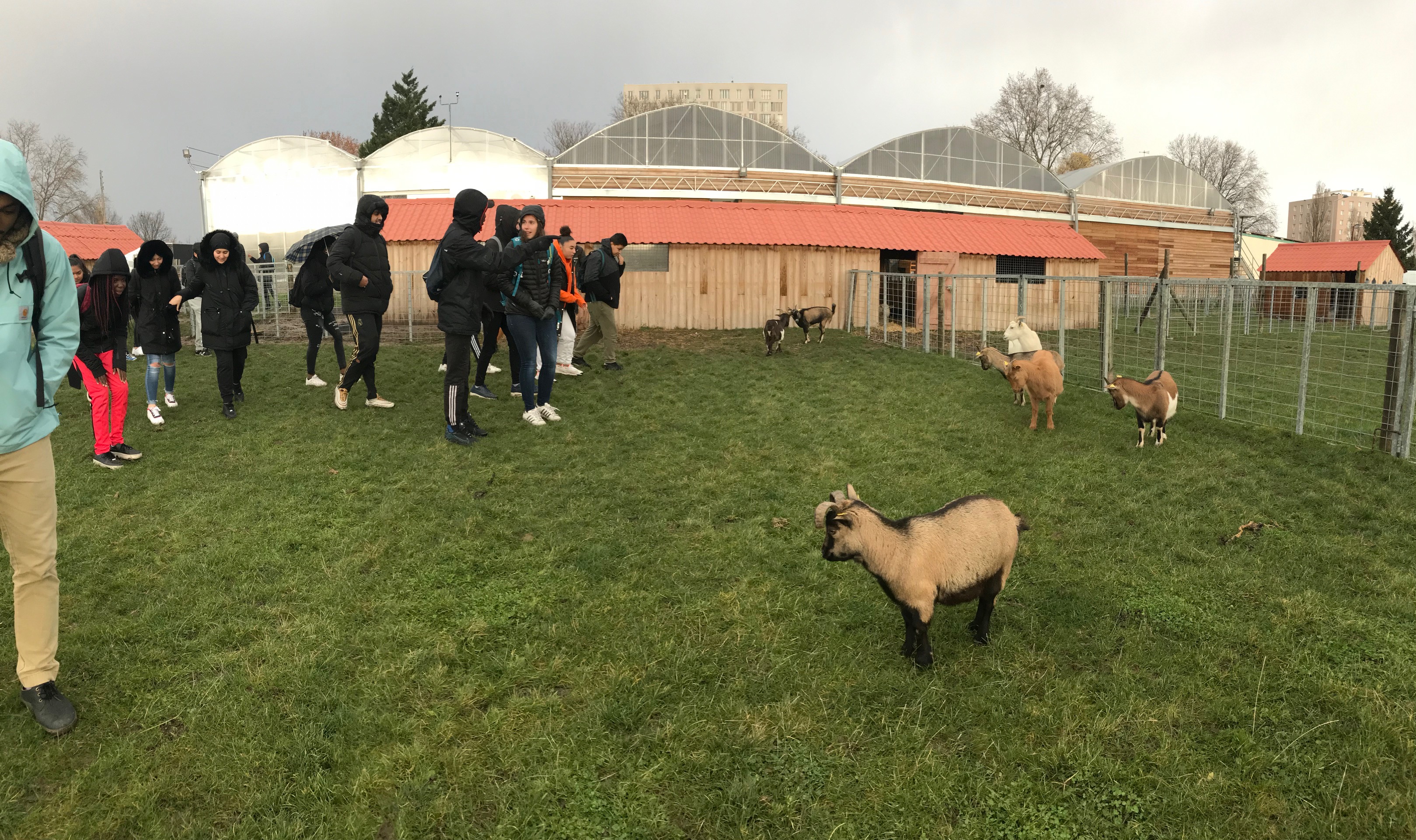 Visite de la ferme urbaine de Saint Denis avec les 2ndes 7 et 8